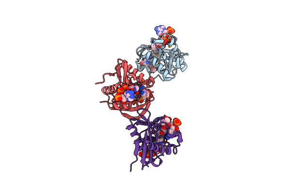 5JPH image