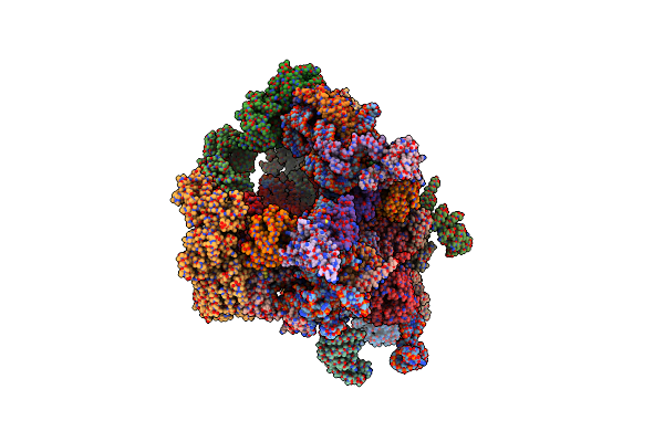 5JPQ image