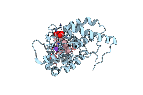 5JPR image