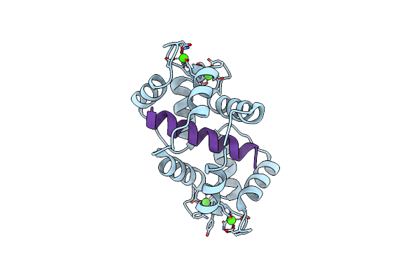 5JQA image