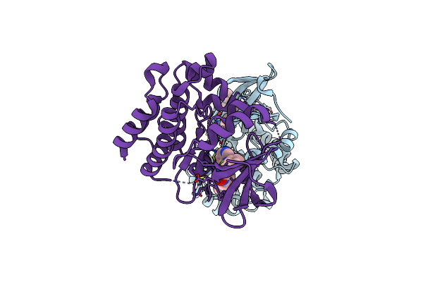 5JRS image