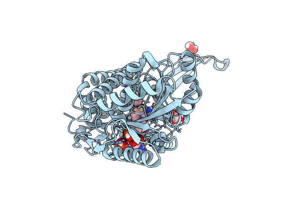 5JRY image
