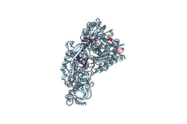 5JS1 image