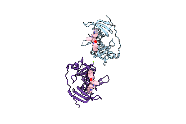 5JSG image