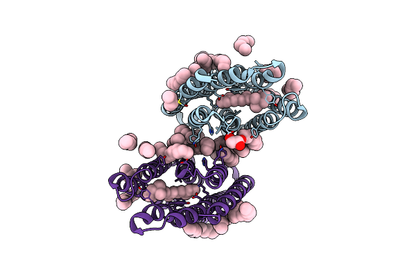 5JSI image