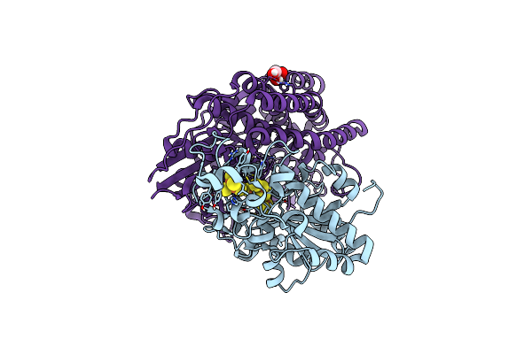 5JSK image
