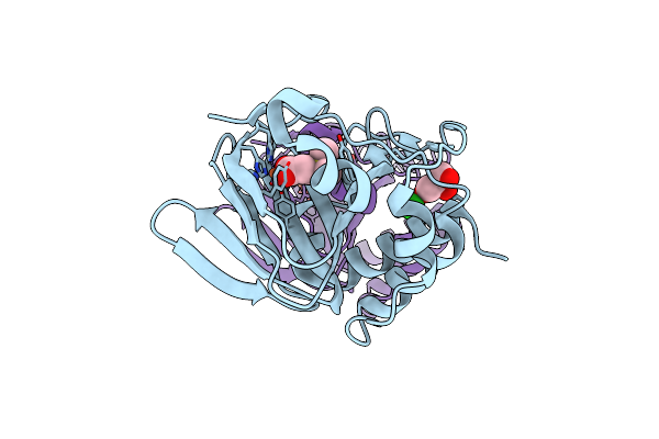 5JSP image
