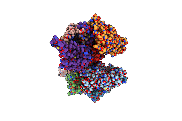 5JSZ image