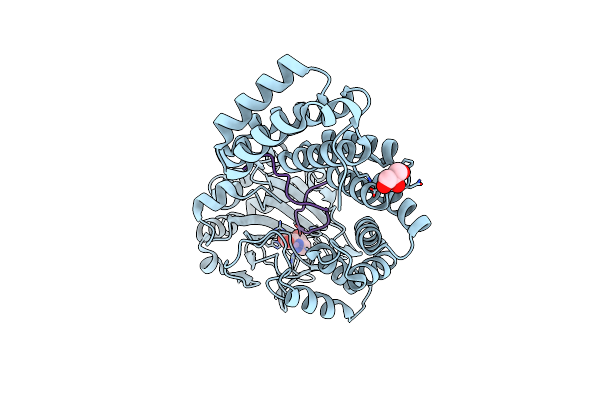 5JTC image