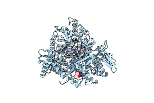 5JTT image