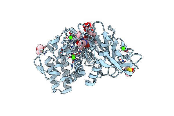 5JVI image