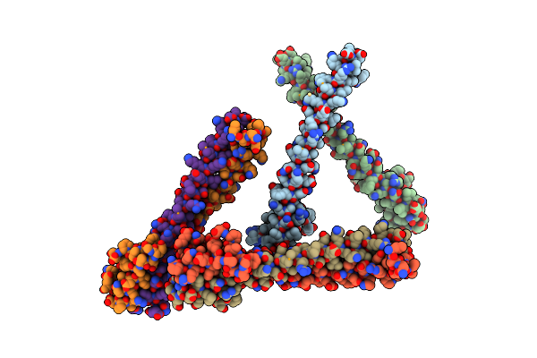 5JVP image