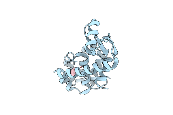 5JWT image