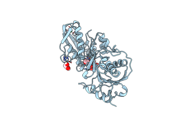 5JX2 image