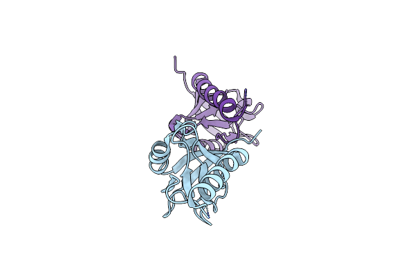5JXB image