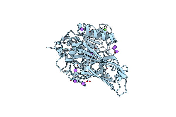 5JXG image
