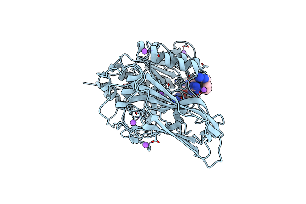 5JXJ image