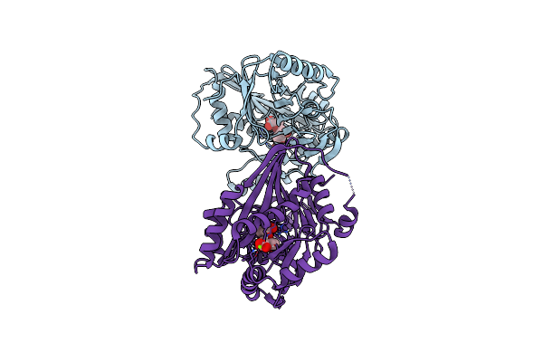 5JY4 image
