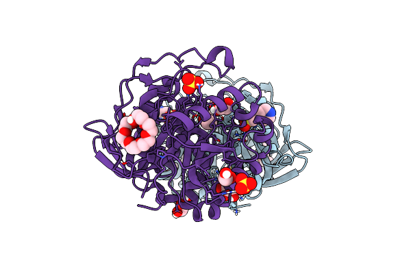 5JYB image