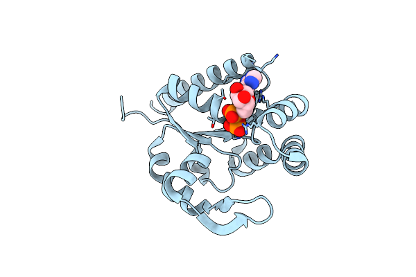 5JZV image