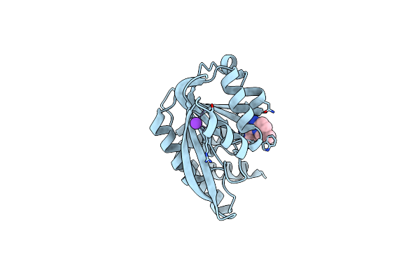 5K03 image