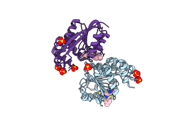 5K05 image