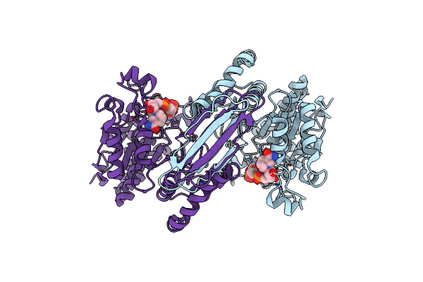 5K10 image