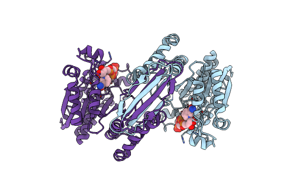 5K11 image