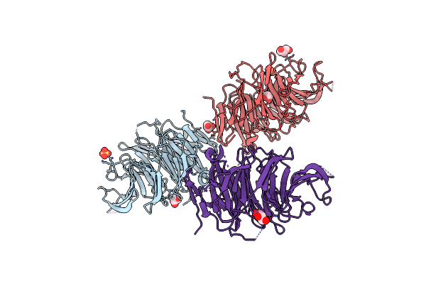 5K19 image