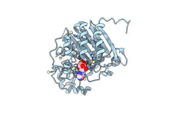 5K1F image