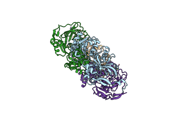 5K1S image