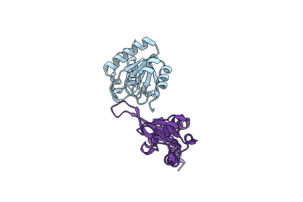 5K22 image