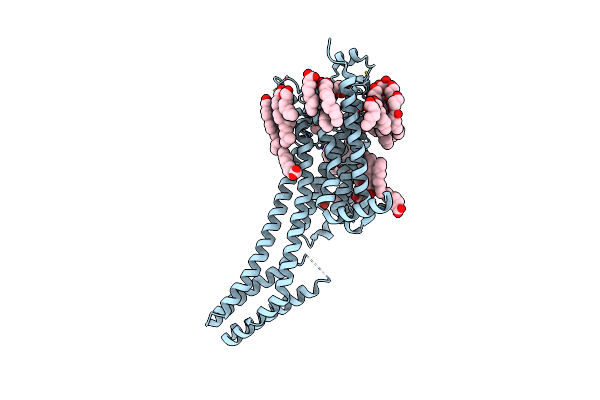 5K2A image