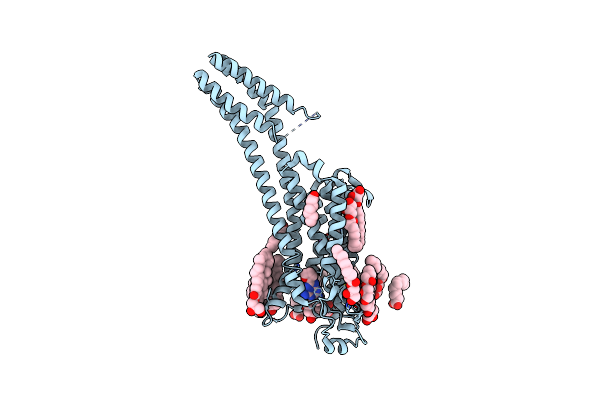 5K2B image