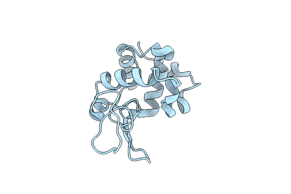 5K2N image