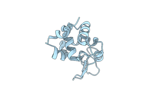 5K2P image