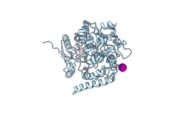 5K2X image