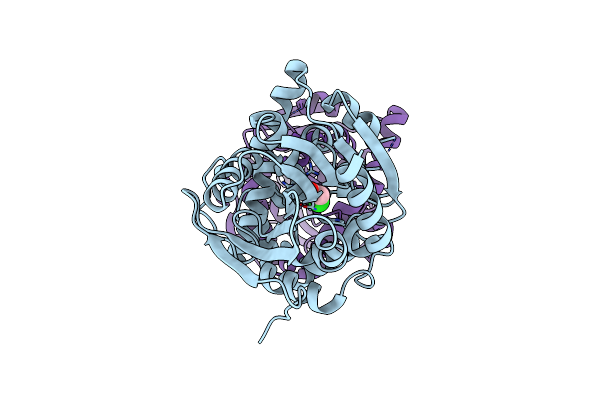 5K3B image