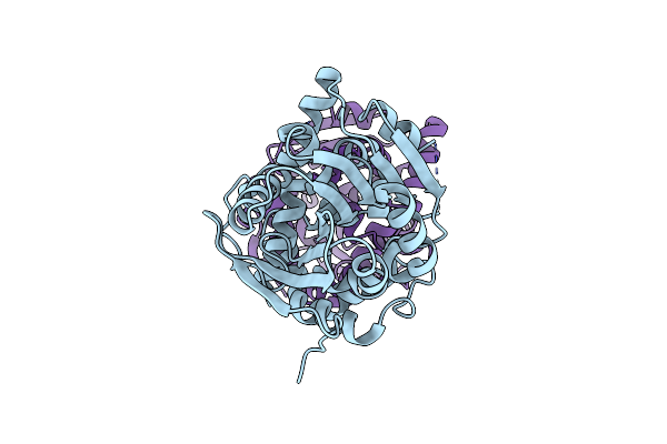 5K3D image
