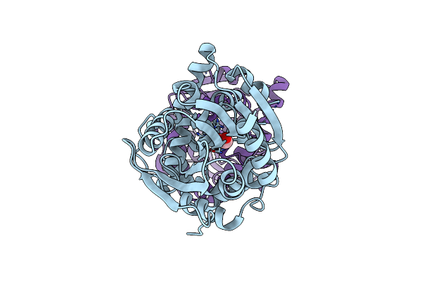 5K3E image