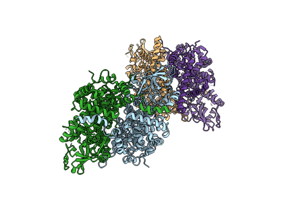 5K3G image
