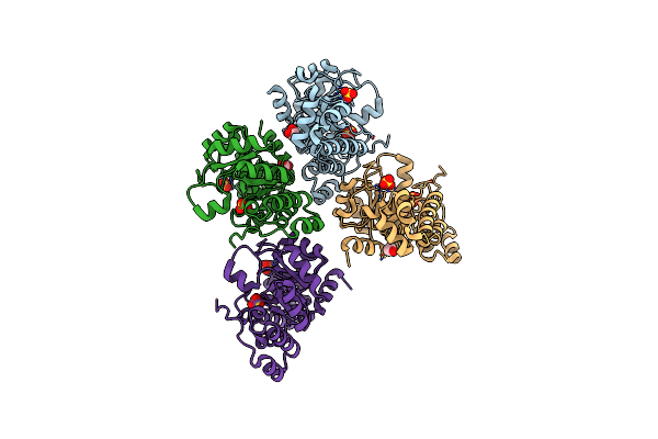 5K3V image