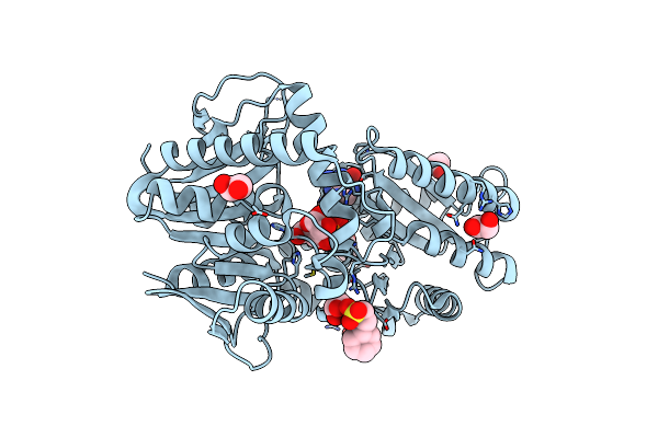5K42 image