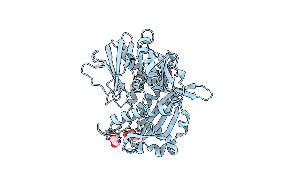 5K4C image