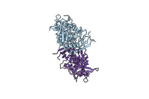 5K4D image