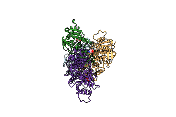 5K4G image