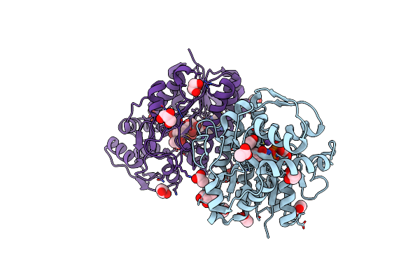 5K4V image