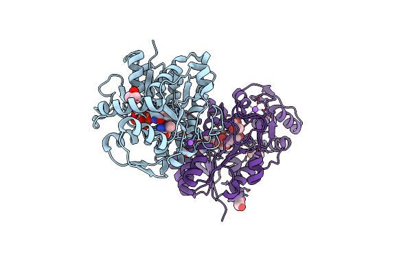 5K4W image