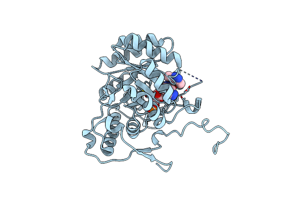 5K4X image