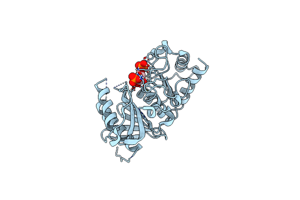 5K56 image